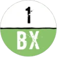 Предварительный логотип 1BX.host