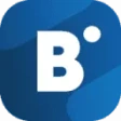 Предварительный логотип BidVertiser