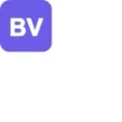 Предварительный логотип Browser Vision