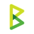 Предварительный логотип BTCPay Server
