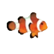 Предварительный логотип Clownfish Voice Changer