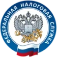 Предварительный логотип ФНС Госрегистрация