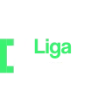 Предварительный логотип Liga Partners