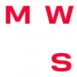 Предварительный логотип MWS AI (бывший MTS AI)