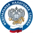 Предварительный логотип ФНС Проверь себя и контрагента