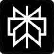 Предварительный логотип Perplexity AI