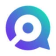 Предварительный логотип QVisor