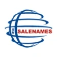 Предварительный логотип SaleNames