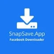 Предварительный логотип SnapSave