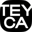 Предварительный логотип Teyca