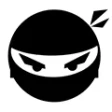 Предварительный логотип TgNinja