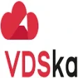 Предварительный логотип VDSka
