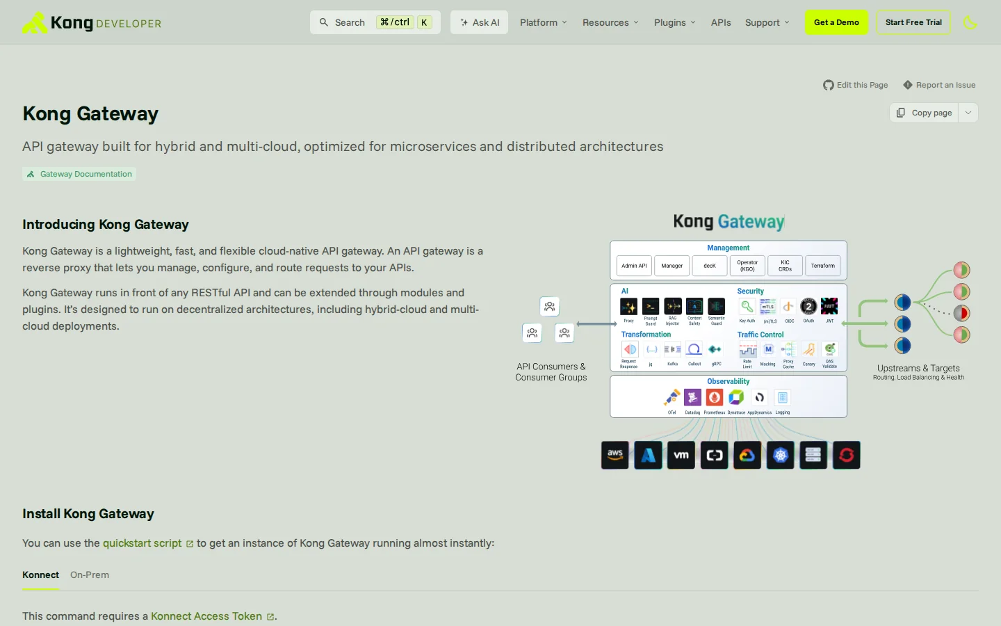 Официальная документация Kong Gateway
